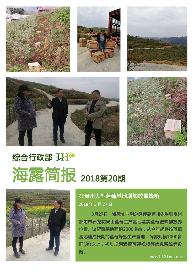 俄罗斯专享会294·VIP(中国区)官方网站