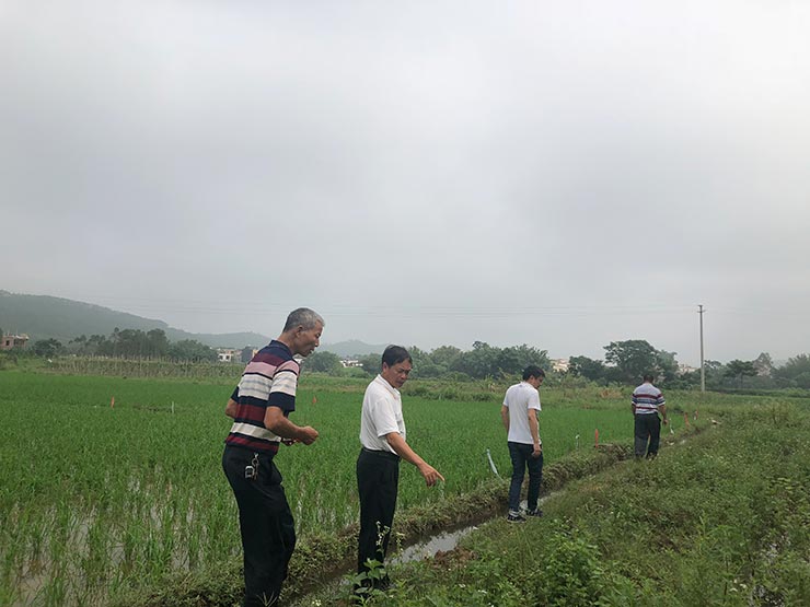 俄罗斯专享会294·VIP(中国区)官方网站