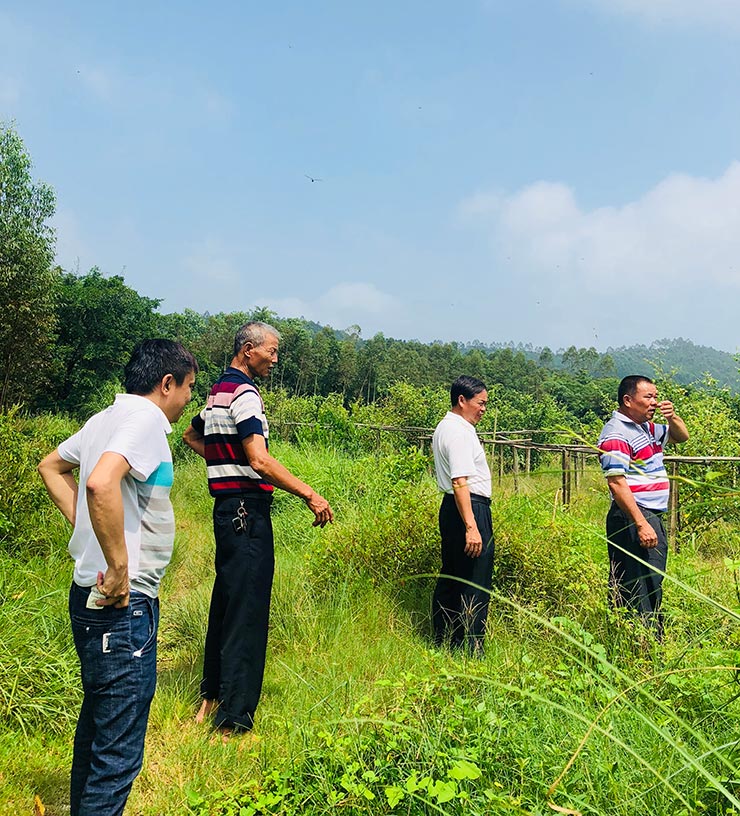 俄罗斯专享会294·VIP(中国区)官方网站