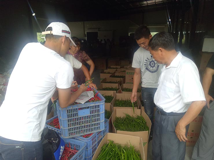 俄罗斯专享会294·VIP(中国区)官方网站