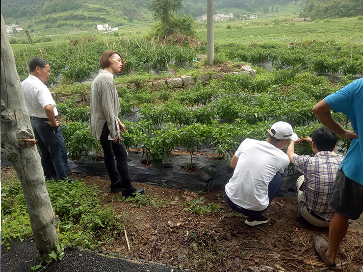 俄罗斯专享会294·VIP(中国区)官方网站