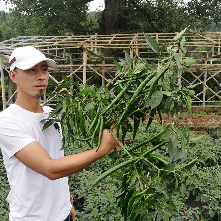 俄罗斯专享会294·VIP(中国区)官方网站