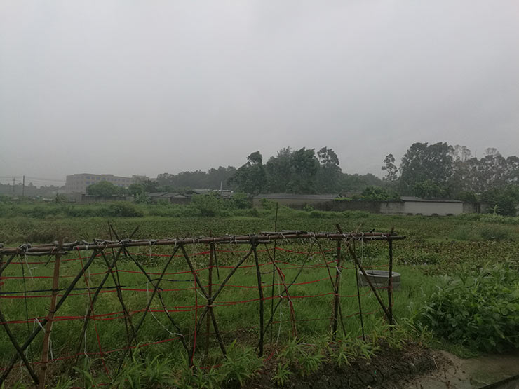 俄罗斯专享会294·VIP(中国区)官方网站