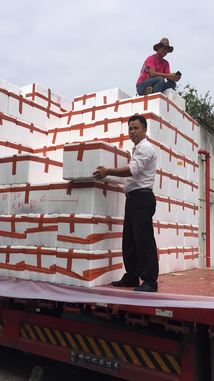 俄罗斯专享会294·VIP(中国区)官方网站