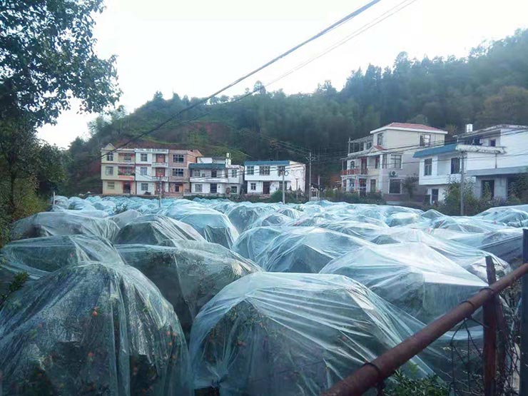 俄罗斯专享会294·VIP(中国区)官方网站