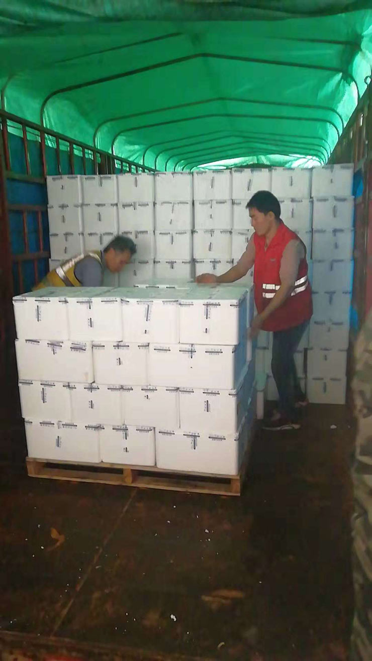 俄罗斯专享会294·VIP(中国区)官方网站