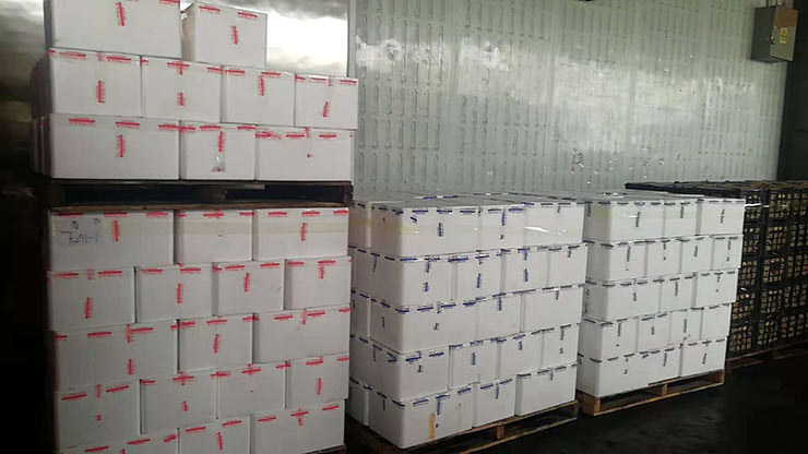 俄罗斯专享会294·VIP(中国区)官方网站