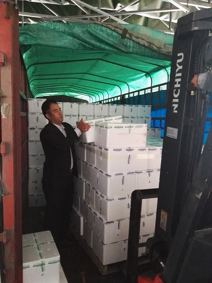 俄罗斯专享会294·VIP(中国区)官方网站