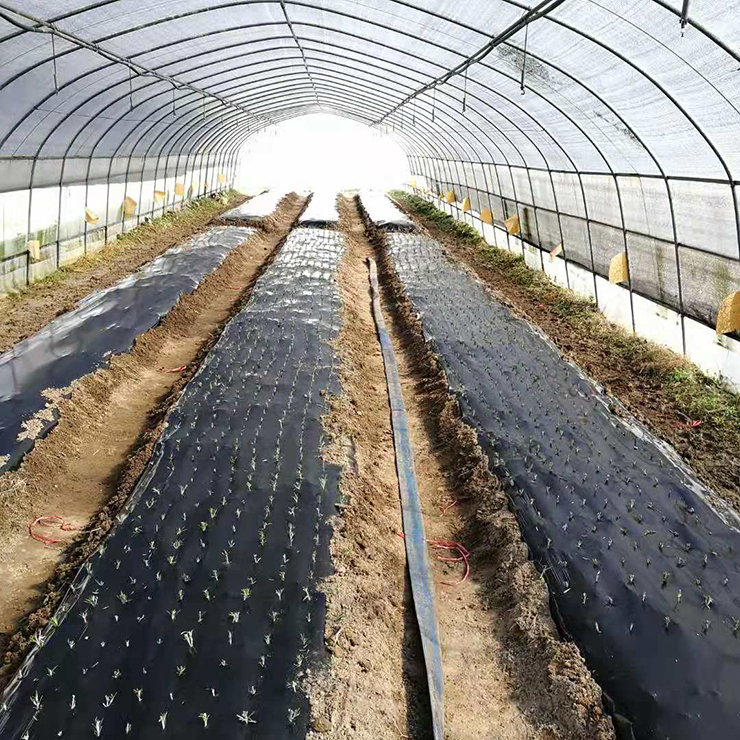 俄罗斯专享会294·VIP(中国区)官方网站