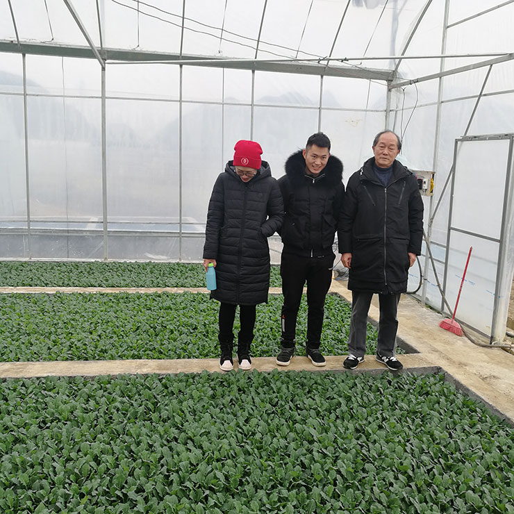 俄罗斯专享会294·VIP(中国区)官方网站