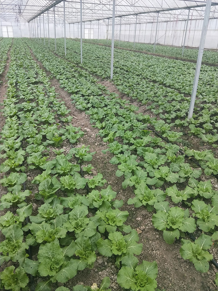 俄罗斯专享会294·VIP(中国区)官方网站