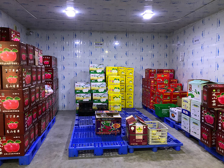 俄罗斯专享会294·VIP(中国区)官方网站