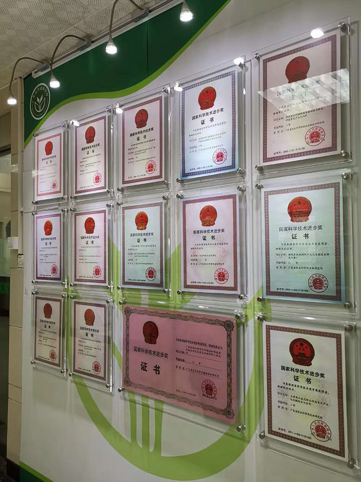 俄罗斯专享会294·VIP(中国区)官方网站