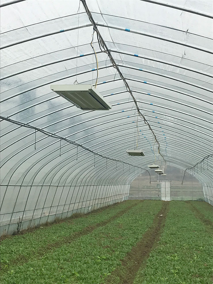 俄罗斯专享会294·VIP(中国区)官方网站