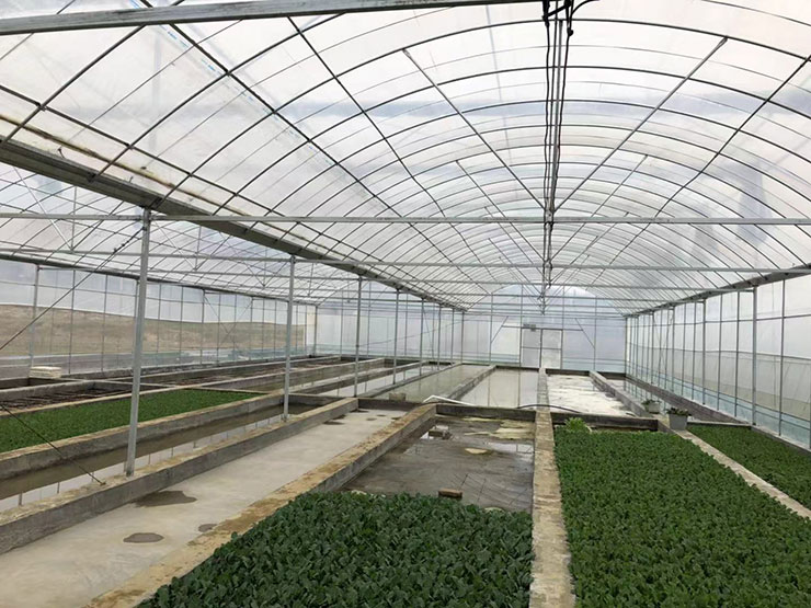 俄罗斯专享会294·VIP(中国区)官方网站