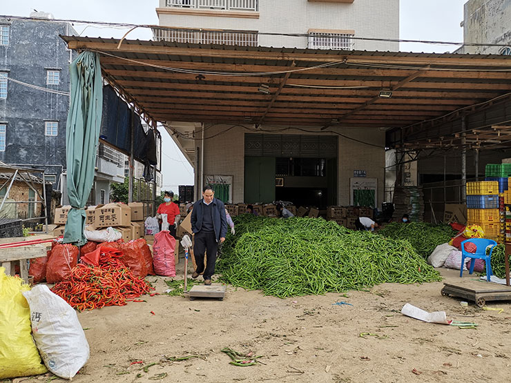 俄罗斯专享会294·VIP(中国区)官方网站