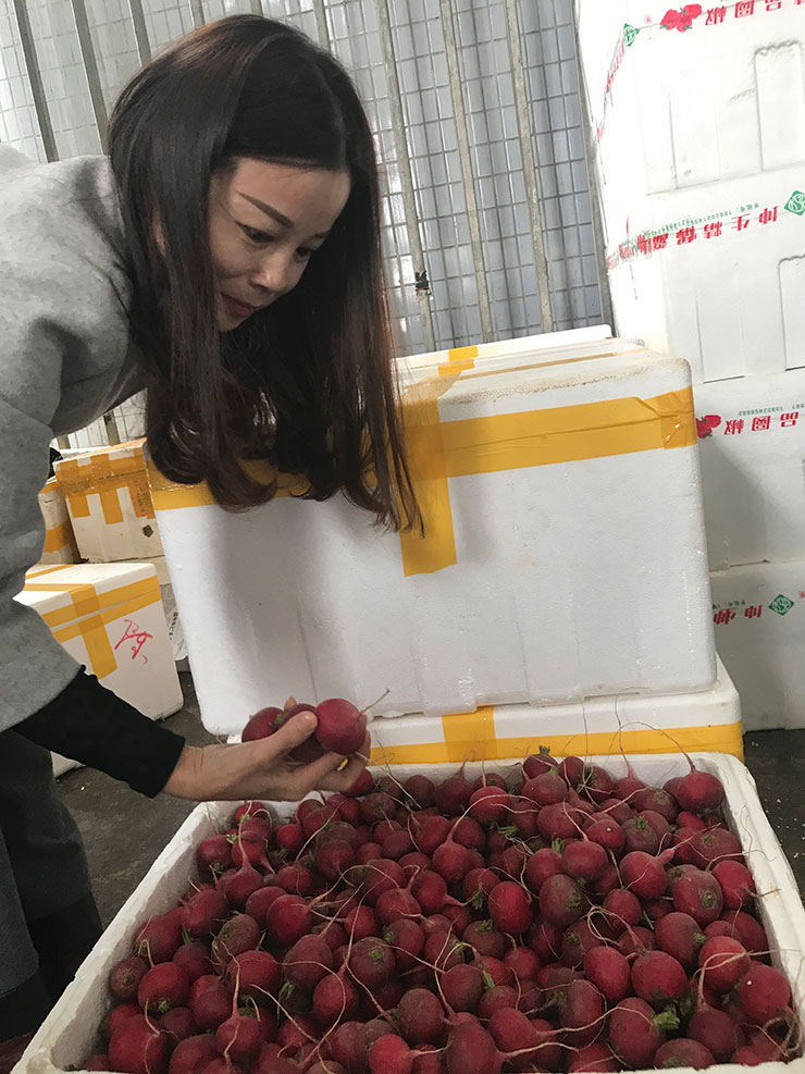 俄罗斯专享会294·VIP(中国区)官方网站