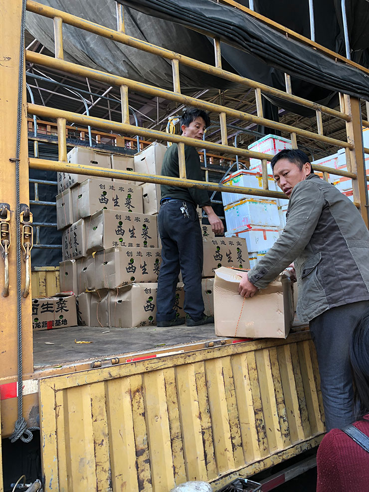 俄罗斯专享会294·VIP(中国区)官方网站