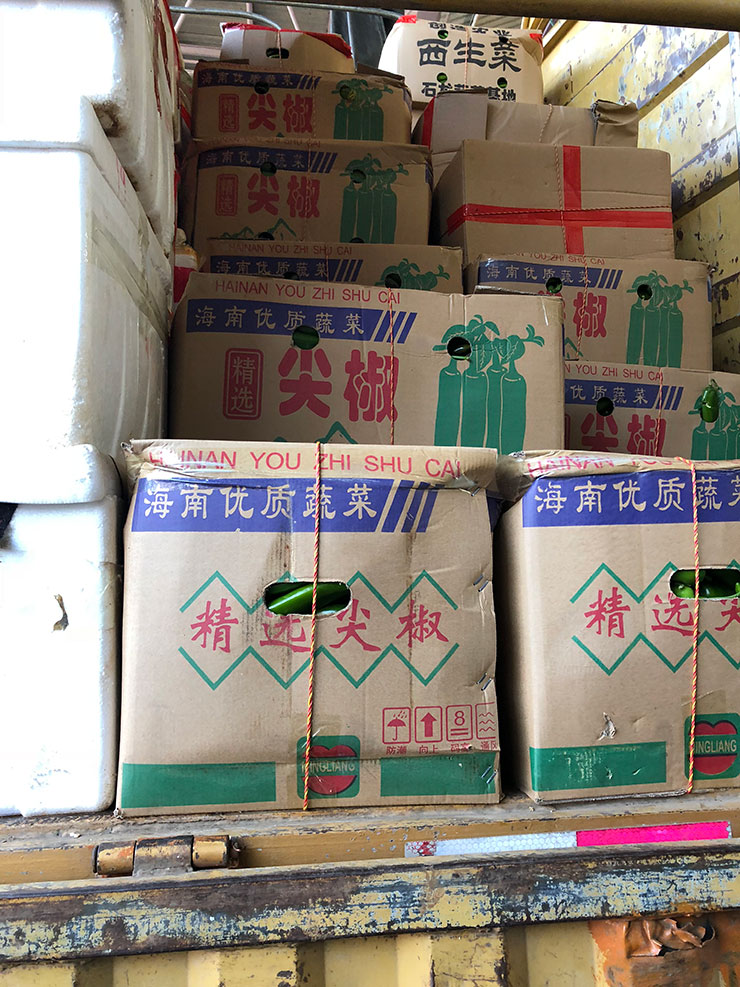 俄罗斯专享会294·VIP(中国区)官方网站