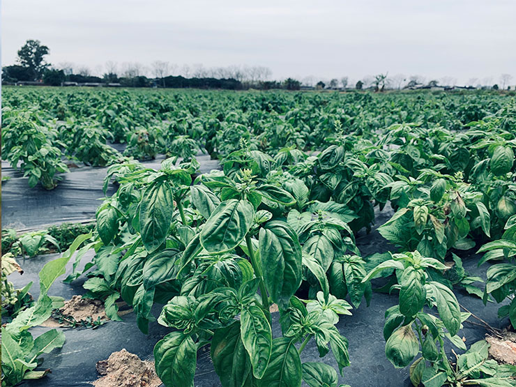 俄罗斯专享会294·VIP(中国区)官方网站