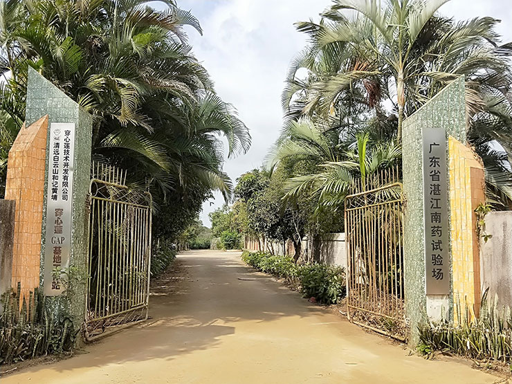 俄罗斯专享会294·VIP(中国区)官方网站