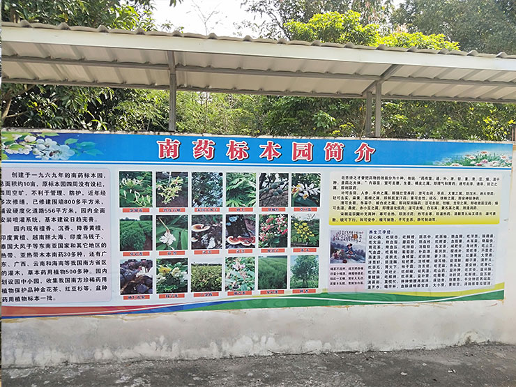 俄罗斯专享会294·VIP(中国区)官方网站