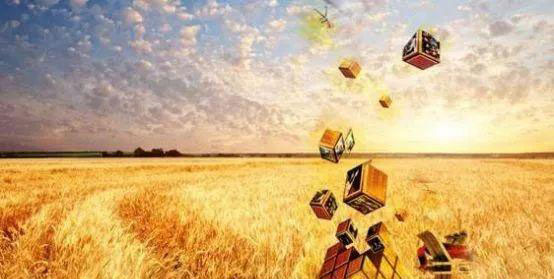 俄罗斯专享会294·VIP(中国区)官方网站