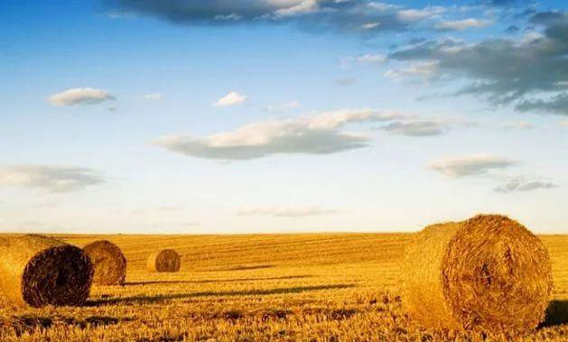 俄罗斯专享会294·VIP(中国区)官方网站