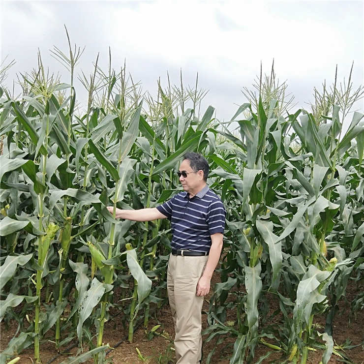 俄罗斯专享会294·VIP(中国区)官方网站