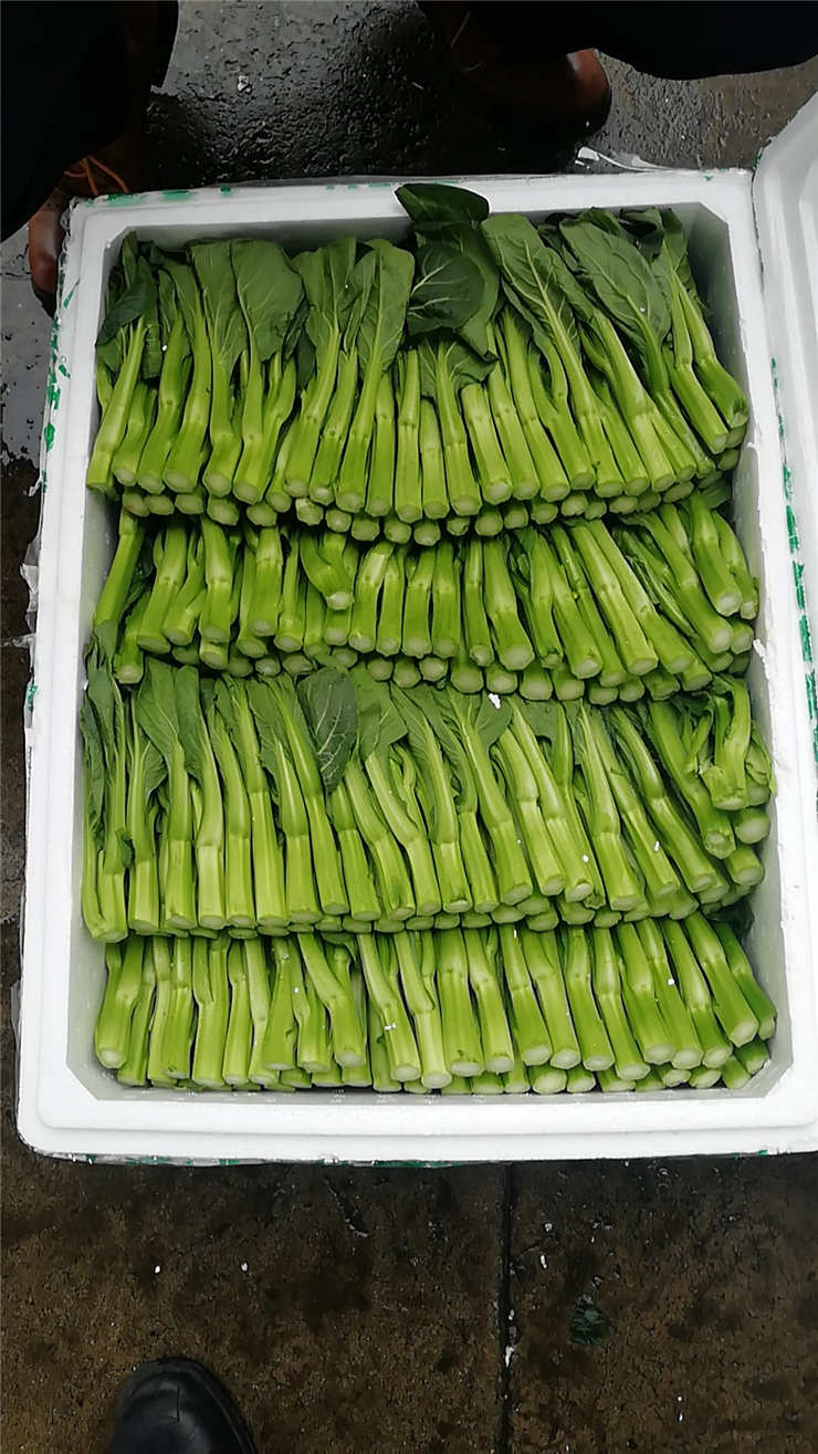 俄罗斯专享会294·VIP(中国区)官方网站