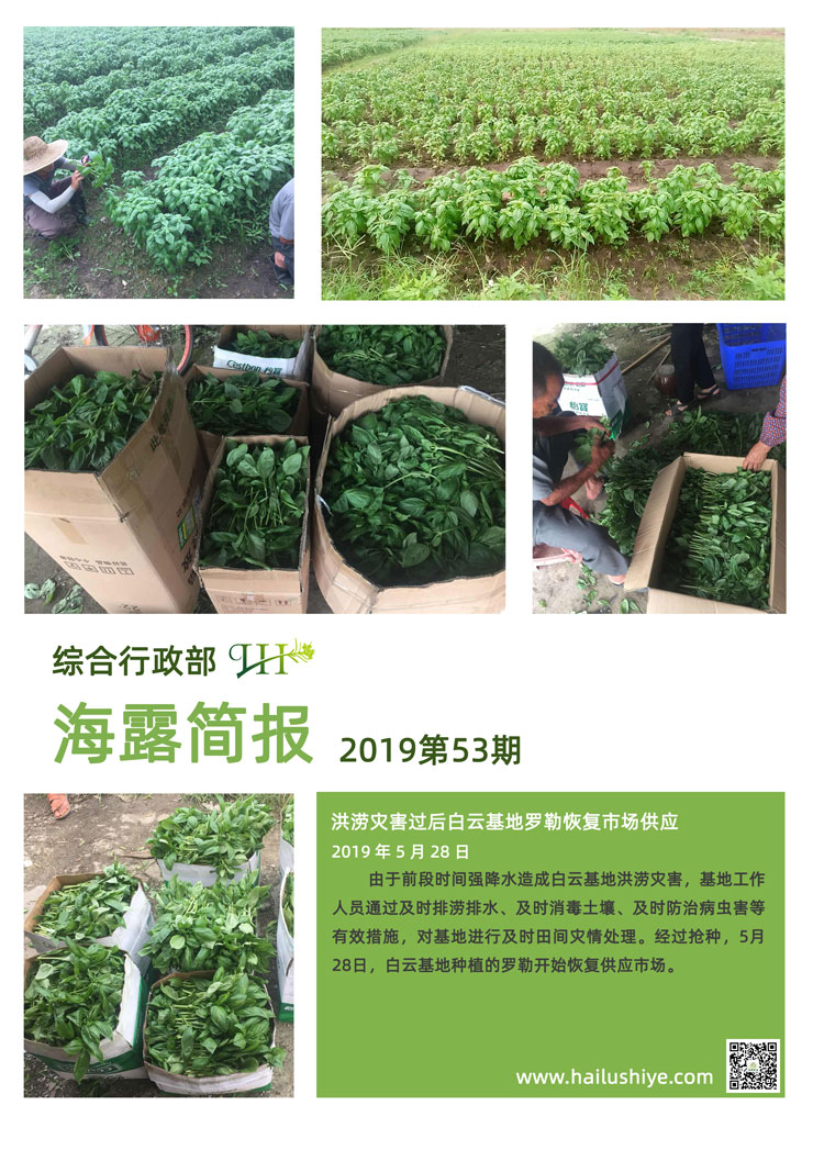 俄罗斯专享会294·VIP(中国区)官方网站