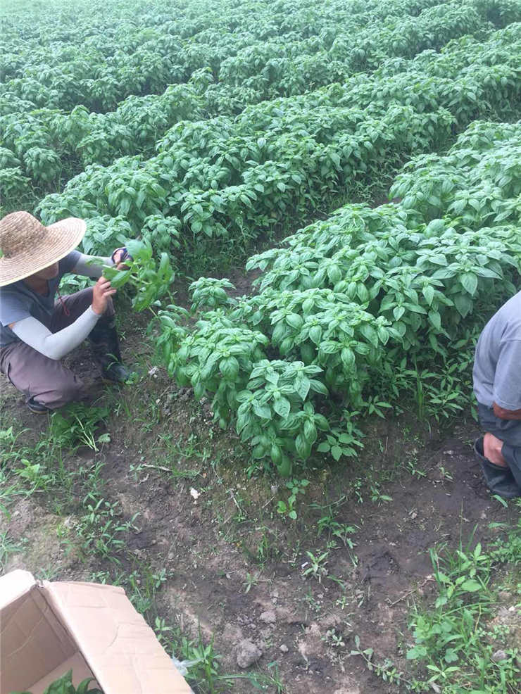 俄罗斯专享会294·VIP(中国区)官方网站