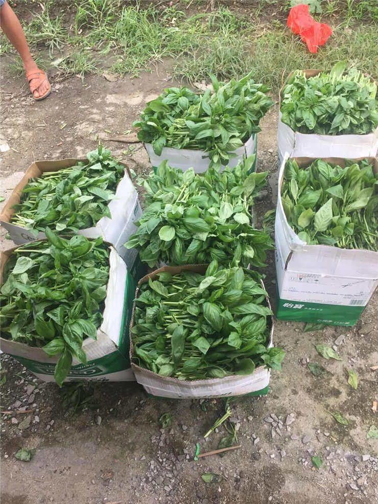 俄罗斯专享会294·VIP(中国区)官方网站