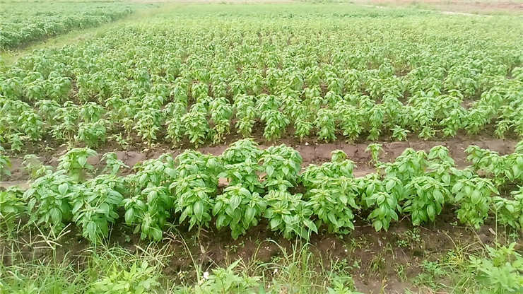 俄罗斯专享会294·VIP(中国区)官方网站