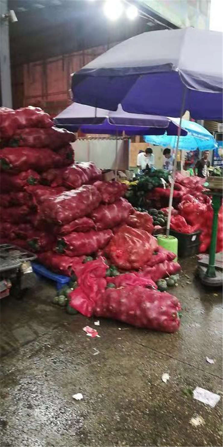 俄罗斯专享会294·VIP(中国区)官方网站