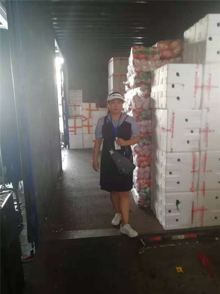 俄罗斯专享会294·VIP(中国区)官方网站