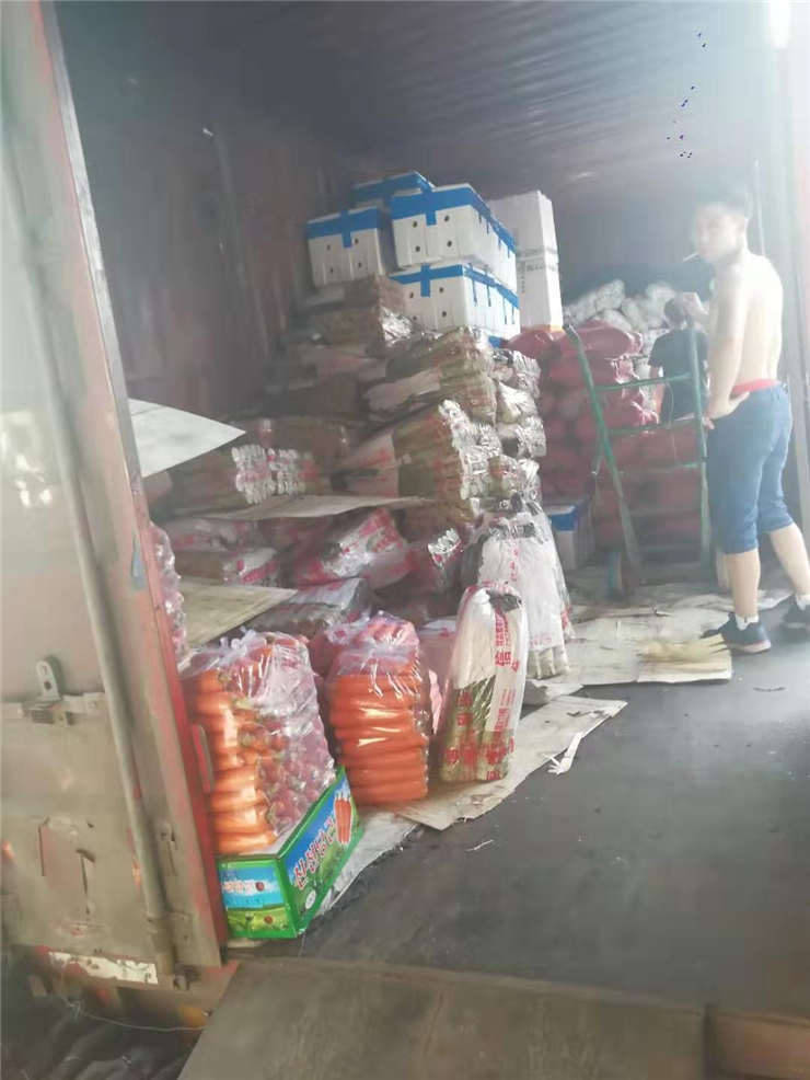 俄罗斯专享会294·VIP(中国区)官方网站