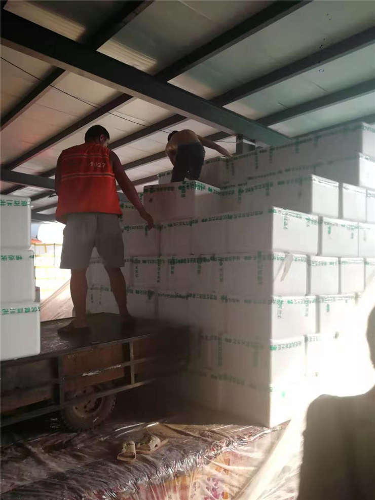 俄罗斯专享会294·VIP(中国区)官方网站