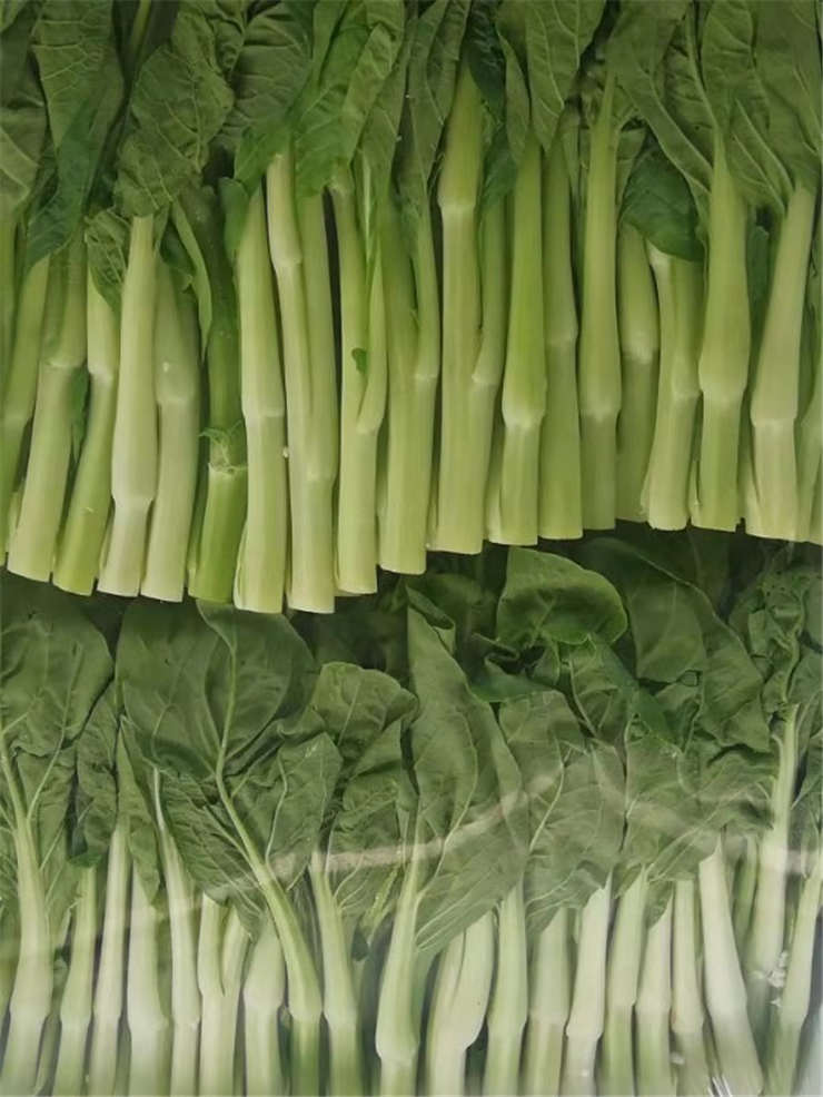 俄罗斯专享会294·VIP(中国区)官方网站