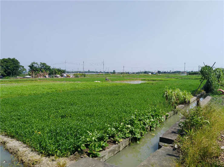 俄罗斯专享会294·VIP(中国区)官方网站