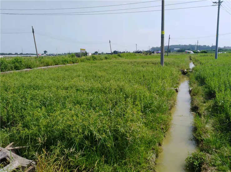 俄罗斯专享会294·VIP(中国区)官方网站