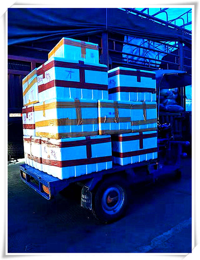 俄罗斯专享会294·VIP(中国区)官方网站