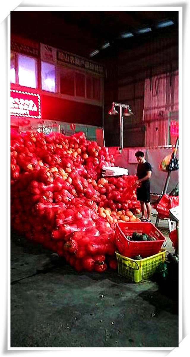 俄罗斯专享会294·VIP(中国区)官方网站