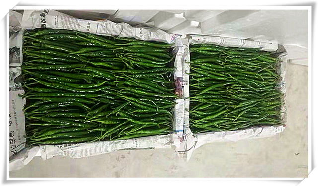 俄罗斯专享会294·VIP(中国区)官方网站