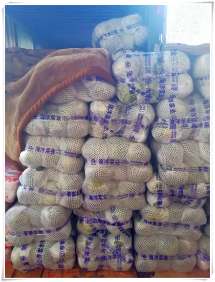 俄罗斯专享会294·VIP(中国区)官方网站