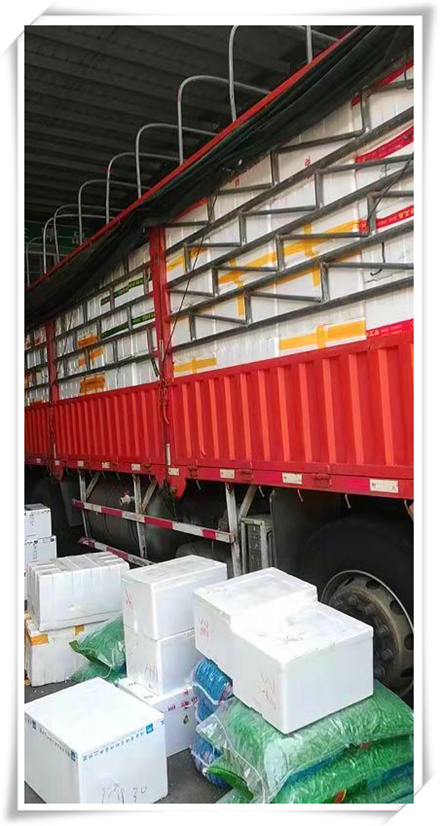 俄罗斯专享会294·VIP(中国区)官方网站