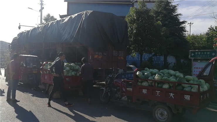 俄罗斯专享会294·VIP(中国区)官方网站