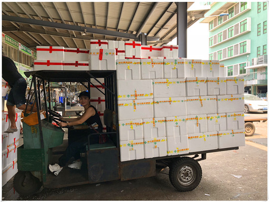 俄罗斯专享会294·VIP(中国区)官方网站