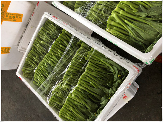 俄罗斯专享会294·VIP(中国区)官方网站