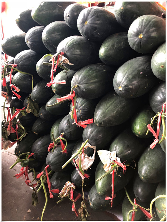 俄罗斯专享会294·VIP(中国区)官方网站